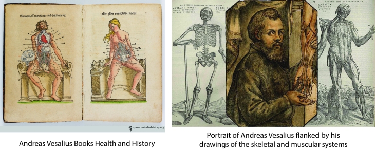 Anatomy comp Andreas Vesalius 1